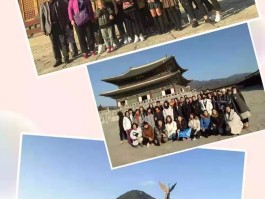 旅游团报名哪个平台好(云南旅游团报名哪个平台好)