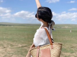 旅行拍照技巧教学视频全集(旅行拍照技巧教学视频全集完整版)