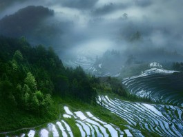 紫鹊界(紫鹊界梯田最佳旅游时间)