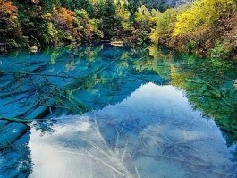 优世界美景(优美世界地址)