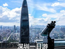 一个人深圳旅行(一个人深圳旅游攻略)