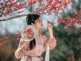 梅花人像摄影技巧(人像摄影技巧入门教程)