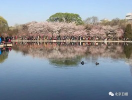 北京清明出游(北京 清明去哪玩)