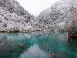 冬天国内旅行最值得去的地方(冬天国内旅行最值得去的地方有哪些)
