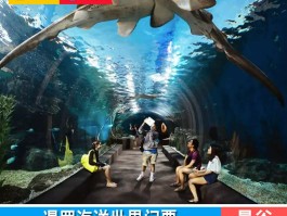 海洋馆门票(海洋馆门票怎么买便宜)