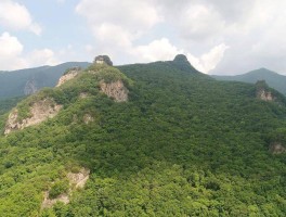 南楼山景区旅游日记(南楼山景区旅游日记三年级)