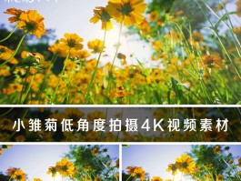 各种花卉拍照技巧图解视频(各种花卉拍照技巧图解视频讲解)