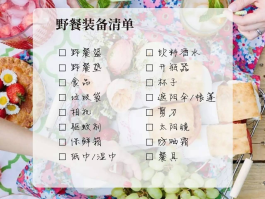 中午吃什么野餐最好(中午吃什么野餐最好吃)