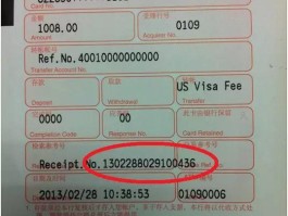美国旅游签证签证官电脑记录(美国旅游签证签证官电脑记录怎么查询)