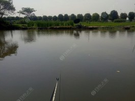 垂钓似一场漫长的心情旅行(垂钓是一种闲情赏月是一种意志)