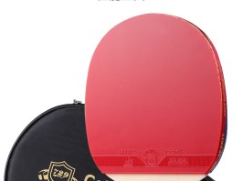 乒乓球拍十大名牌(乒乓球拍十大名牌,乒乓球拍50元左右的哪个性价比高)