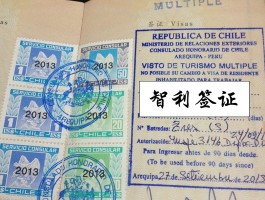 自驾环球旅行如何签证(自驾环球旅行签证怎么解决)
