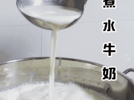 姜撞奶的传说故事(姜撞奶的传说故事视频)