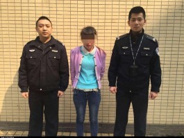 嵖岈山旅游实业有限公司的**审理记录的简单介绍