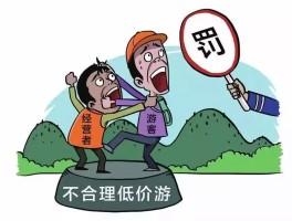 旅行社低价团出行记录(旅行社行程报价单一日游)