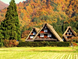 岐阜县(岐阜县天气)