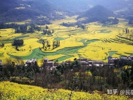 春天去最好哪里旅游(春天去哪里旅游最好玩)