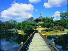 朝鲜旅游拍摄的视频(朝鲜旅游拍摄的视频在哪里看)