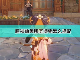 原神迪奥娜旅行记录怎么获得(原神迪奥娜旅行记录怎么获得视频)