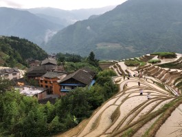 龙脊梯田旅游(龙脊梯田旅游线路)