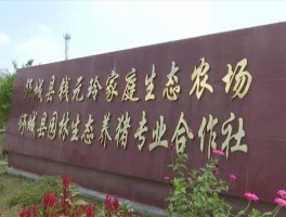 二三产业(二三产业占比较大意味着什么)