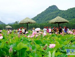 普者黑旅游美食攻略(普者黑旅游自由行攻略)
