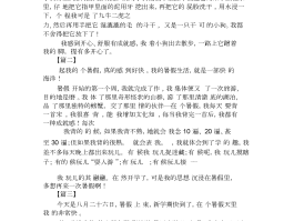 日记旅游三年级(日记旅游三年级300字)