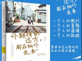 一个人的旅行请你回应(一个人的旅行请你回应英文)
