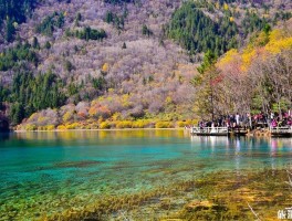 11月份去南方哪里旅游(11月份去南方哪里旅游比较好)