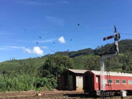 关于哈普塔勒旅游美食攻略的信息