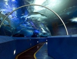 南京海底世界门票(南京海底世界门票教师资格证可以打折吗)
