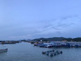 闸坡旅游(闸坡旅游跟团)