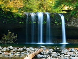 观世界阅美景(观世界的唯美句子)