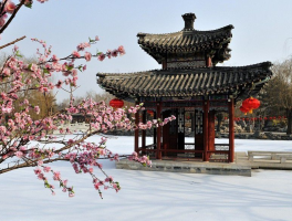 北京大观园门票(北京大观园门票预约官网)