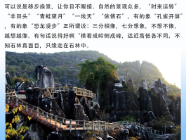 石林门票(石林门票网上购票)