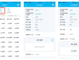 关于境外个人外汇结汇旅游项资讯的信息
