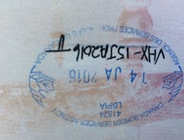 环球旅行签证怎么弄(环球旅游签证怎么解决)