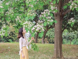 人像摄影取景(人像摄影取景技巧)