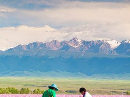 什么是旅游(什么是旅游电子商务)