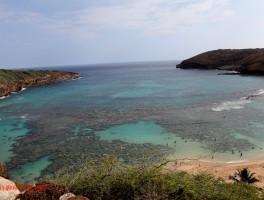 欧胡岛(欧胡岛火灾)