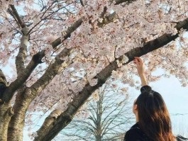 和朋友旅行的拍照技巧(和朋友旅游拍照发朋友圈说说)