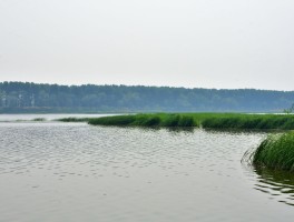 潮白河国家湿地公园(宝坻区潮白河国家湿地公园)