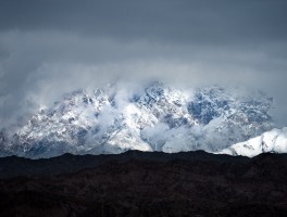 托木尔峰(托木尔峰359旅专供52度)