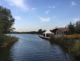 中卫旅游(中卫旅游最佳季节)