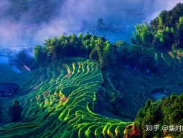 芒果台旅游拍摄地(芒果台可以进去参观吗)