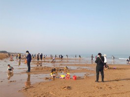 带孩子适合去日照哪里旅游(带孩子适合去日照哪里旅游呢)