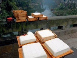 卤水点豆腐(卤水点豆腐一物降一物什么意思)