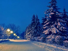 雪景摄影技巧总结(雪景摄影技巧总结怎么写)