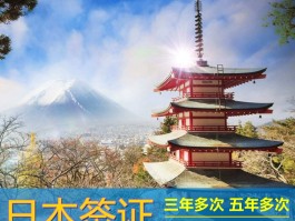 包含日本五年多次签证的词条