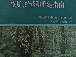 97国际(97国际游戏app)